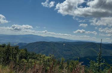 Sielskie Chatki - domki Twardorzeczka Lipowa - Foto 21
