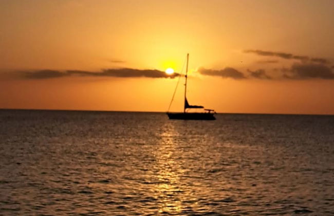 BnBBonaire - Foto 66