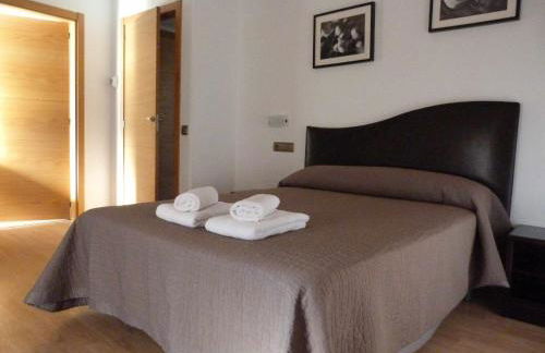 Apartamentos Puerta de Ordesa - Photo 46