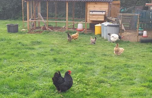 Under the Stars Shepherds Huts at Harbors Lake - Photo 31