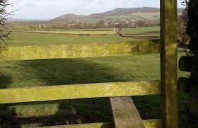 Lucea Cottage - Foto 37