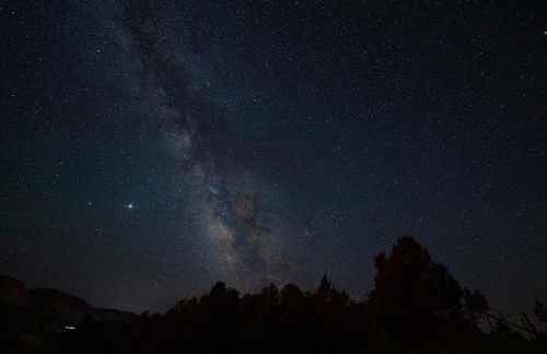 Hidden Abode - Photo 15