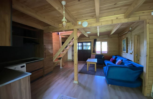 Villa Gencal Ayder - Photo 47