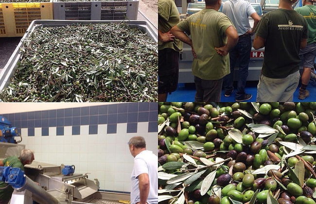 Masseria Stali, The Originals Relais - Foto 34