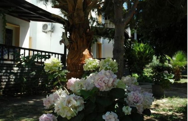 Alfa Apart Otel - Photo 28