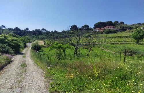 Perla sul mare con piscina - Foto 38