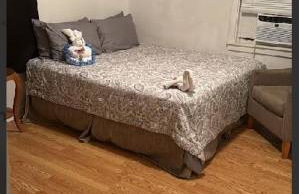 Large Studio1 Bedroom Or 2 BR Apartment Nr Ocean Center Main St Walk To Beach - Photo 55