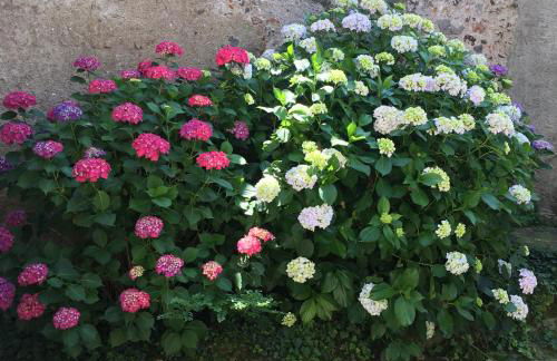 La Solatìa - Photo 54