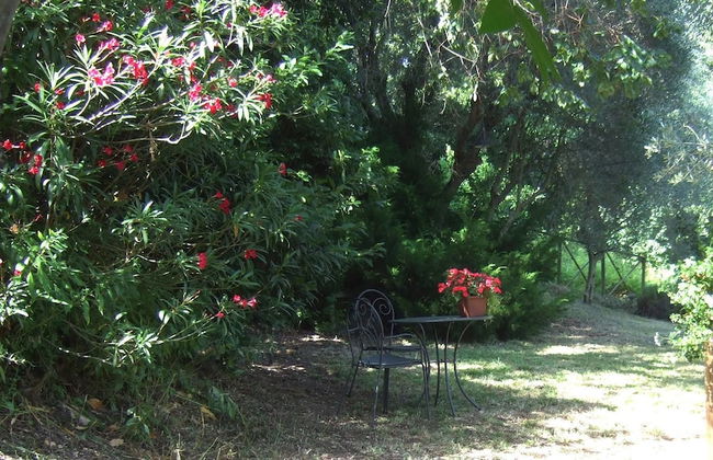 Agriturismo La Casa della Lavanda - Il Casale - Foto 24