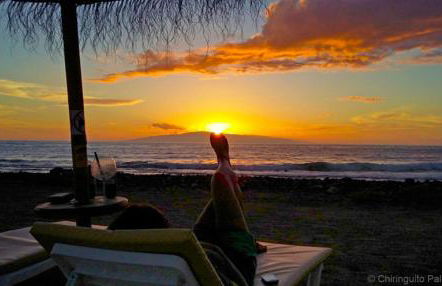 Laderas del Palmar - Foto 45