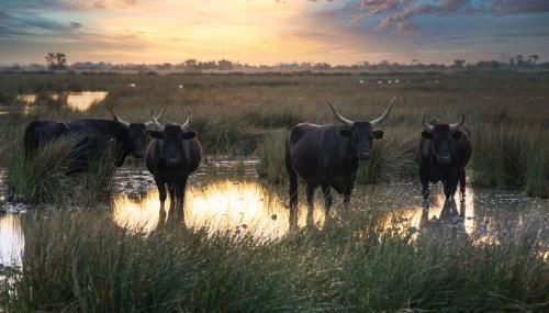 Studio Chaleureux niché au cœur des Salins - Foto 2