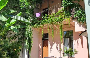 Musa Paradisiaca - Foto 30