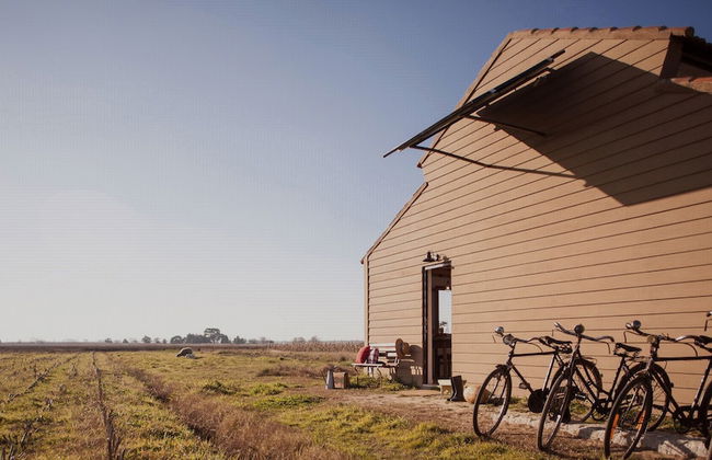 Be & See in Nature - Foto 17