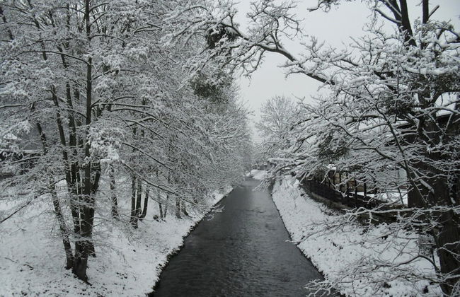 Ferienwohnung Sachsische Schweiz - Foto 32