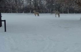 Casas Rurales San Justo - Foto 11