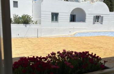 Thealos Santorini ( close to square) - Foto 15