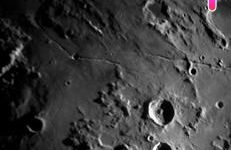 Masiadenjust - Foto 23