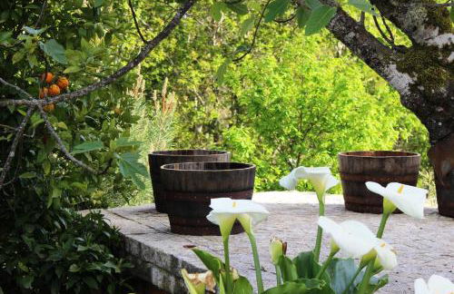 Villa Lugar do Pego - Foto 23