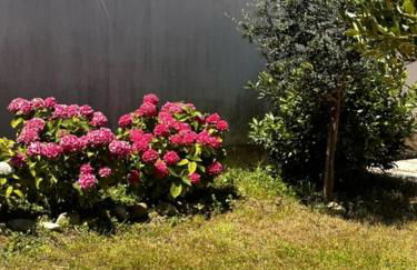 Casa Vacanza Indipendente Cascina Cremasca with pool - Foto 53