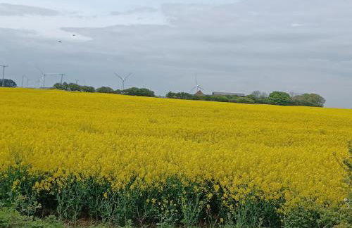 Redhouse Farm Cottage the most dog friendly place Ive ever stayed - Foto 8