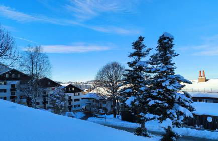 Ferienwohnung Allgäuerle 1604 Ski in Ski out an der Skipiste mit Hallenbad Sauna - Photo 34