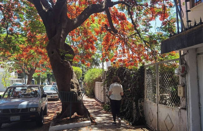 Room in House - Una Joya Para Dormir En Chapalita - Foto 24