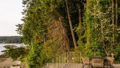 The Bald Seagle - Foto 2