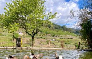 Private Douro- Quinta das Susandas - Foto 63