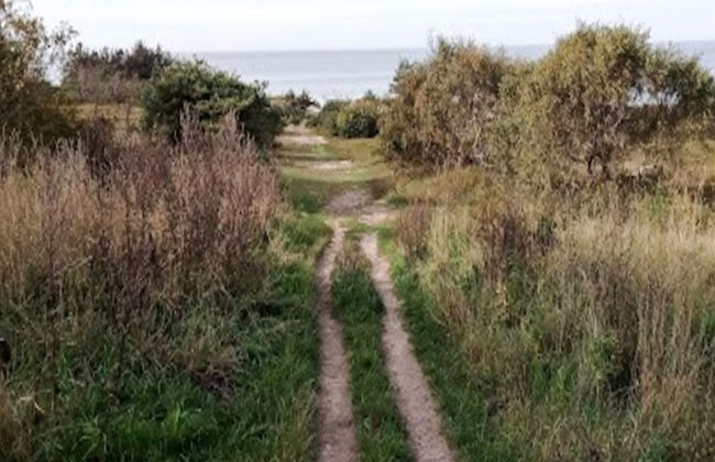 6 Person Holiday Home in Graested-by Traum - Foto 24