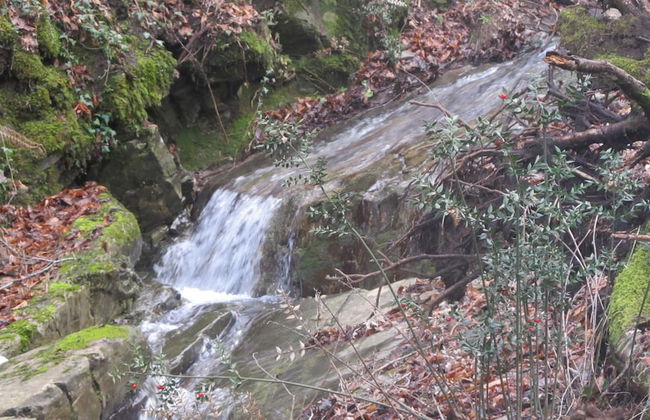 Podere Campovecchio - Foto 30