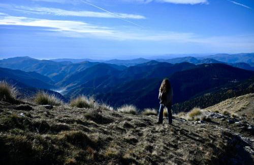 Bergeriedekakisse Mercantour - Foto 13