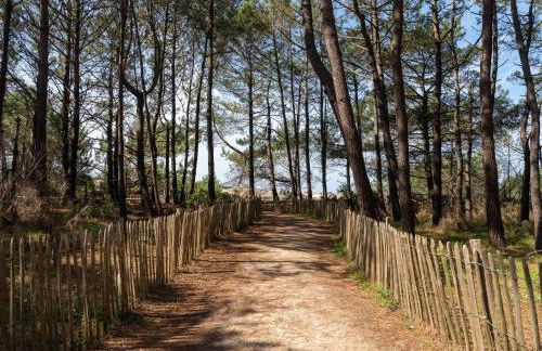 Chalet cosy entre lac et dunes, 4 pers. – Proche plages, centre, activités - Ménage inclus - FR-1-319-534 - Foto 15