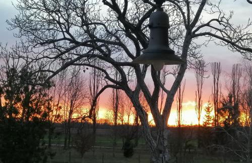 Resort Villa Manin - Foto 47