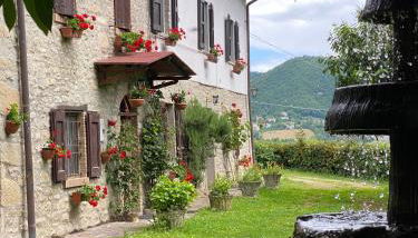 Casa Angiolino, angolo di pace vicino all'Orrido di Gea - Foto 2, Garden