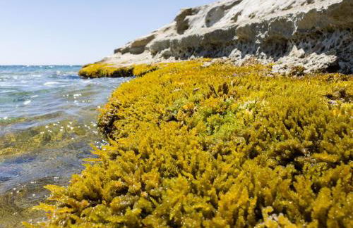 CaSotto il Carrubo, a 100 mt dal mare! - Foto 41