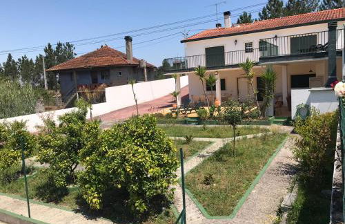 Le Domaine de l’Orangeraie - Foto 43