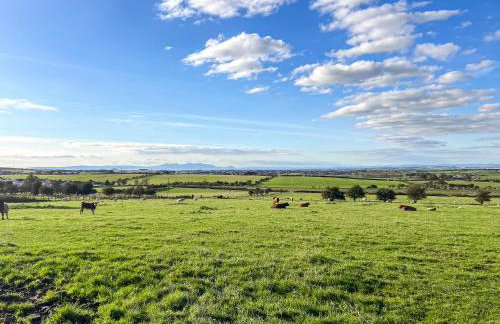 Muirston Farmhouse - Uk44977 - Foto 21