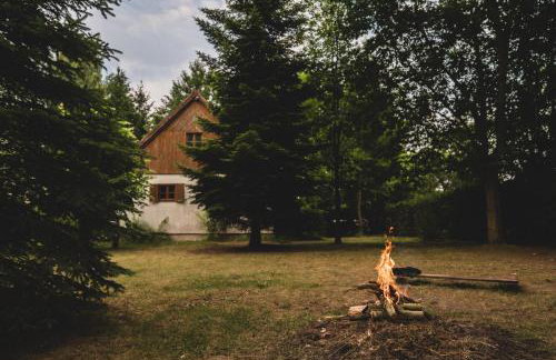 AŻ POD LAS - Foto 30