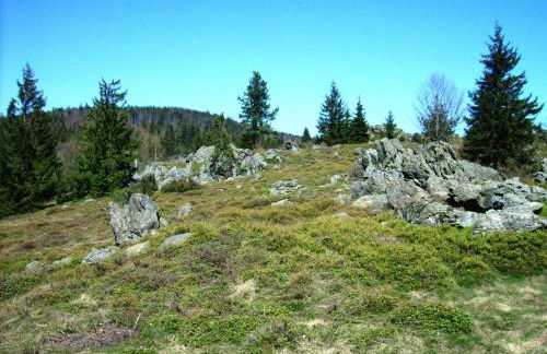 Schones Ferienhaus mit Grossem Garten bei Stadlern - Foto 40
