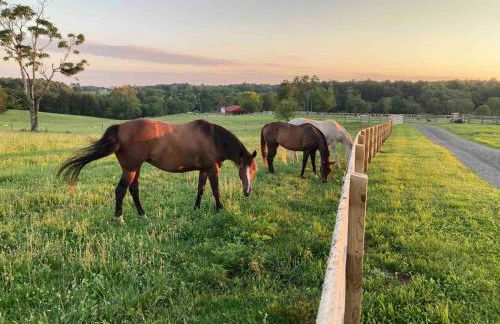 Farm living at it's best! - Foto 61