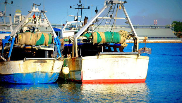 Brindisi Private Tour - Foto 5