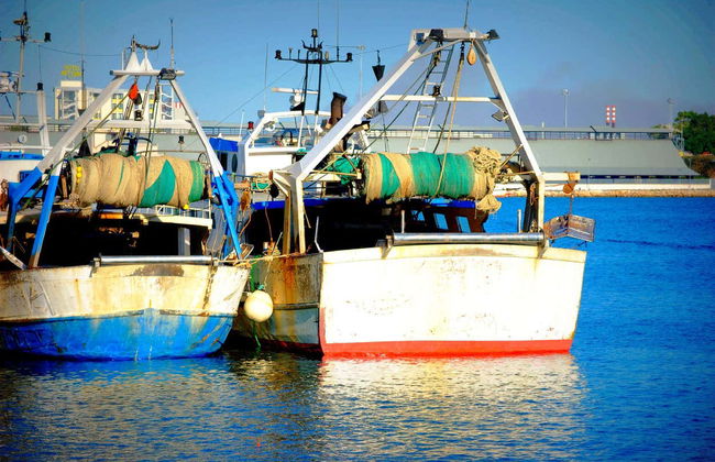 Brindisi Private Tour - Foto 5