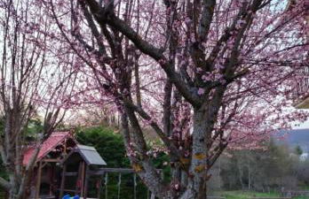 Apartamentos Goizeder - Foto 14