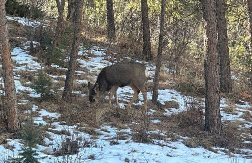 Misty Mountain Colorado - Foto 20
