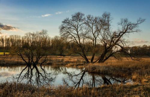 Am Storchennest - Foto 26