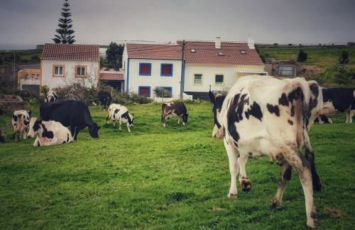 Casa do Pequeno Dragoeiro - Foto 106