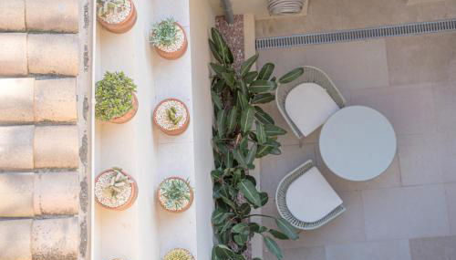 Maison Raphaël studios - Plages, Ville et Gare à Pied - Foto 5, Garden view