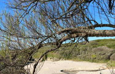 Appartement Océane - Photo 40