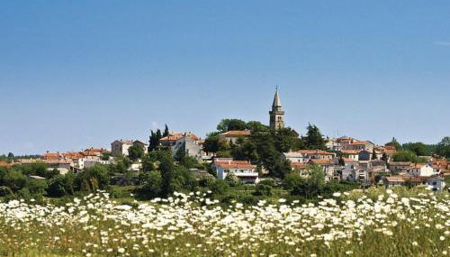 Villa Istra - Foto 2