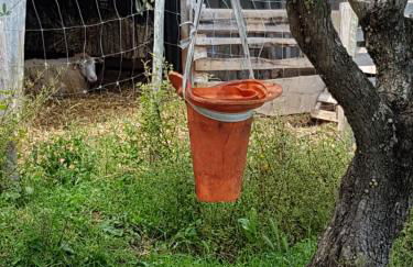 Casa da Ti Bia - Foto 34